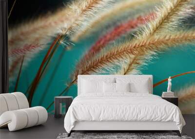 fuzzy fountain grass Wall mural