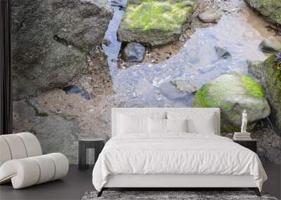 Rock Pool Wall mural