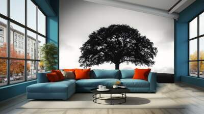 silhouette black and white photo oak tree Wall mural