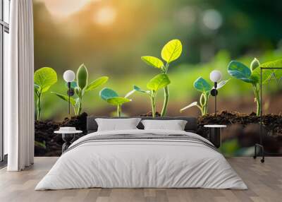 soybean growth in farm with green leaf background. agriculture plant seeding growing step concept Wall mural