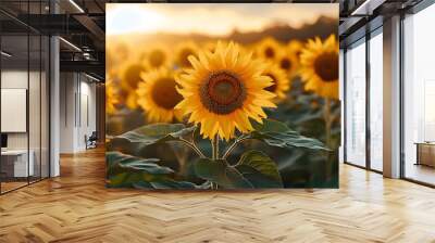 Sunflowers at Sunset Wall mural