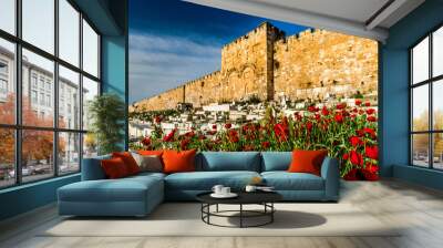 Poppy flowers in front of the sealed Golden Gate/Mercy Gate of the Old City, Jerusalem Wall mural