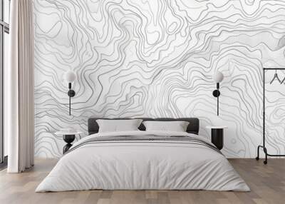 topographic line contour map background, geographic grid map Wall mural