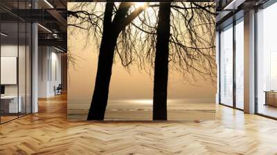 TREES & LAKE AT DAWN 2 Wall mural