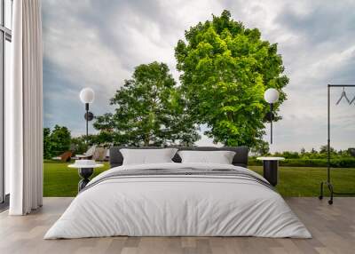 Two lush trees under overcast sky Wall mural