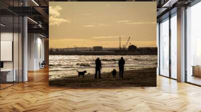 Two people walking their dogs along Roker beach on a bright sunny day, selective focus, landscape view. Wall mural