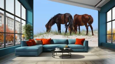 Wild Horses of Shackleford Banks Wall mural