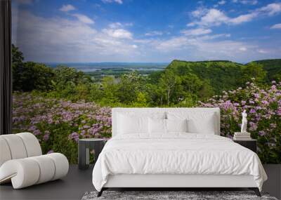 A Mississippi River Scenic Landscape with Wildflowers Wall mural