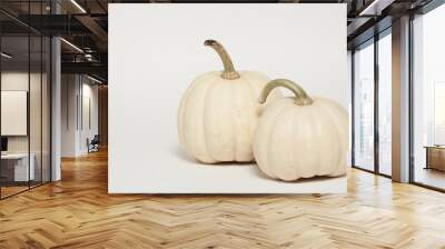 Albino Pumpkins Wall mural