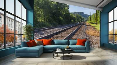 Double Railroad Track Mainline Wall mural