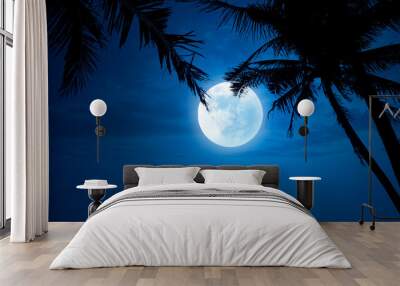 Blue night sky with coconut trees and moonlight Wall mural