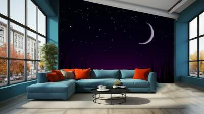 starry night sky Wall mural