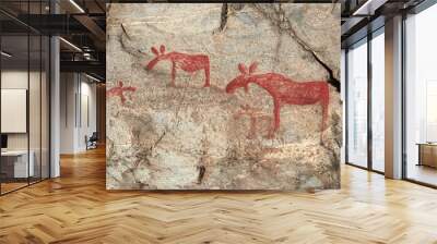 Ancient rock paintings in Naesaaker ins Sweden Wall mural