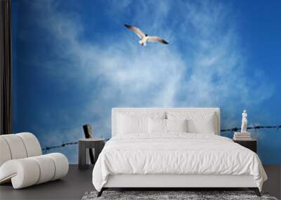 close up barbed wire fence and flying bird over sunny blue sky Wall mural