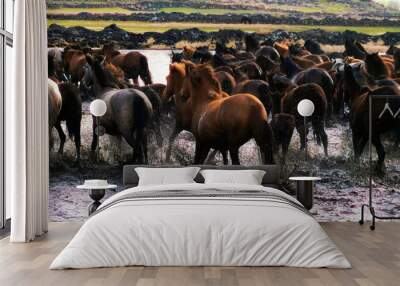 Close up herd of wild horses running in water over countryside landscape Wall mural