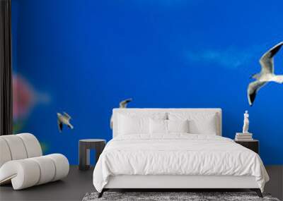 flock of seagulls flying over sunny blue sky with spring flowers Wall mural