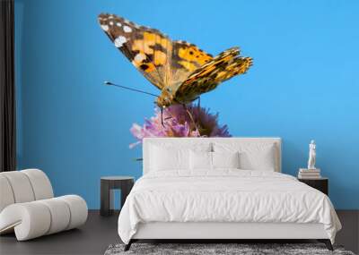 Butterfly on a purple flower against the blue sky. copy space. close up Wall mural