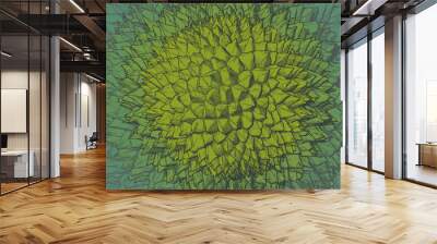 Abstract durian drawing pattern background Wall mural