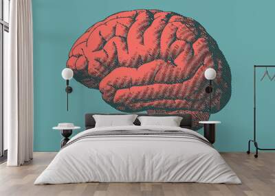 Brain illustration in retro style isolated on green BG Wall mural