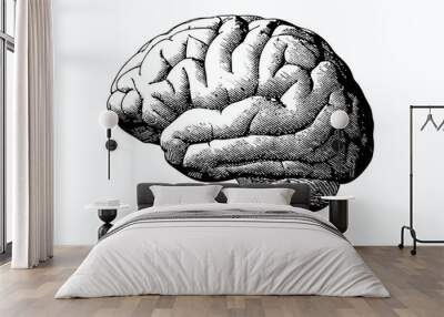 Engraving brain with black on white BG Wall mural