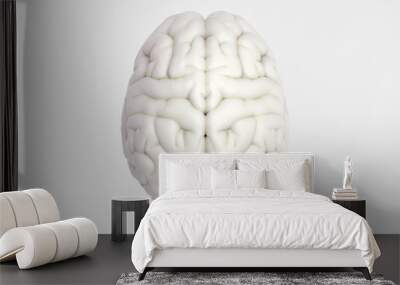 Human brain in top view isolated on white BG Wall mural