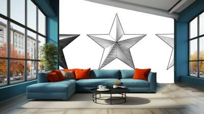 Three style of vintage engraving Christmas star isolated on white BG Wall mural