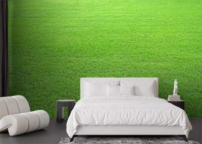 Nature green grass in the garden, Lawn pattern texture background, Perspective Wall mural