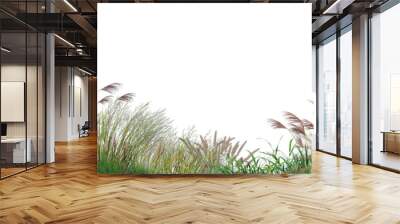 3d render grass and shrub with white background Wall mural