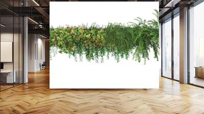 3d render ivy with white background Wall mural