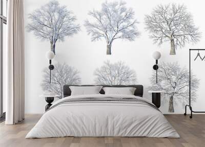 3d render trees and mountains during winter Wall mural