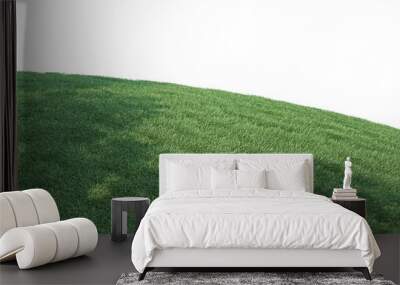 A mound of grass with flowers on a white background. Wall mural