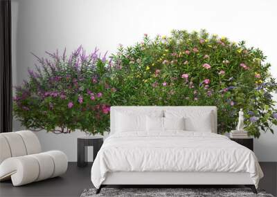 A small garden decorated with many plants on a transparent background. Wall mural