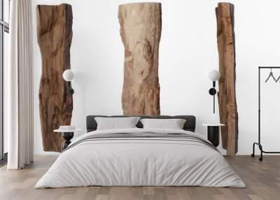 A variety of logs on a transparent background Wall mural