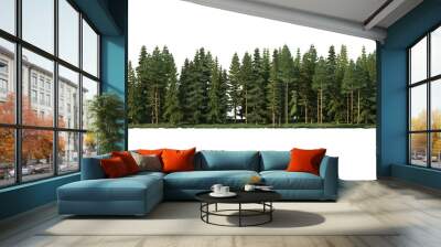 Coniferous forest on a transparent background Wall mural