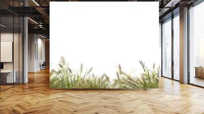 foreground flower gardens and meadows on a transparent background. Wall mural