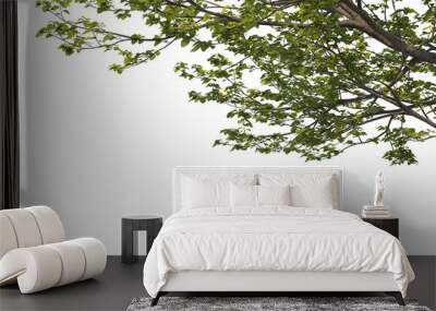 Foreground twigs on a transparent background
 Wall mural