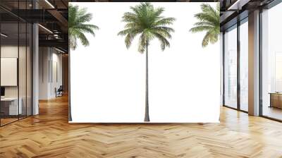 Palm on transparent background Wall mural