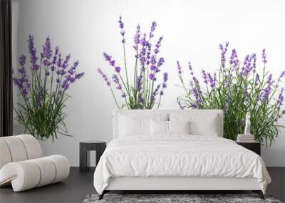 shrubs and flower on a transparent background Wall mural