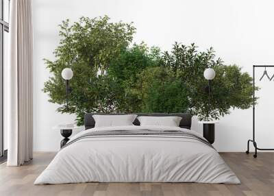 Shrubs and flower on a transparent background
 Wall mural