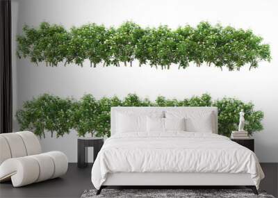 Shrubs and flowers on a transparent background. Wall mural