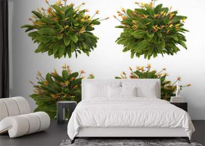 Tropical plants on a transparent background Wall mural