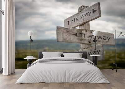 This way, that way, my way signpost. Guidance concept. Wall mural