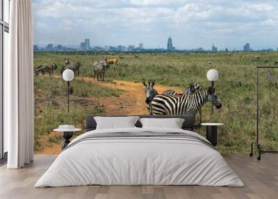 Zebra infront of Nairobi city skyline. Mankind vs. wilderness, endangered nature and world herritage concept. Wall mural