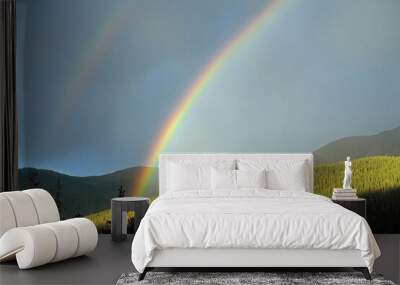 Berthoud Pass Colorado double rainbow over a beautiful spruce forest with mountains in the backdrop  Wall mural