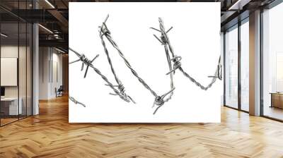 Barbed wire isolated on a white background Wall mural