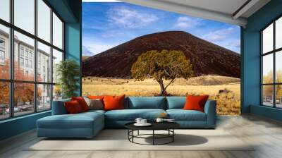 S P Crater, Amazing Volcanic Landscapes, Flagstaff Arizona, America, USA. Stunning views from the surrounding area. Wall mural