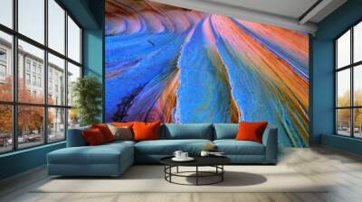 The Wave with Sandstone Prism Phenomenon #5, Vermilion Cliffs National Monument in Arizona U.S.A. Wall mural