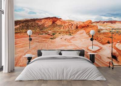 amazing sandstone shapes at valley of fire national park, nevada Wall mural