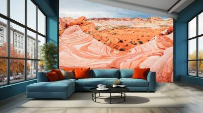 amazing sandstone shapes at valley of fire national park, nevada Wall mural