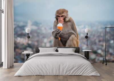 portrait of monkey eating an ice cream Wall mural